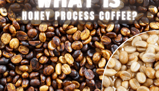 What Is Honey Processed Coffee?