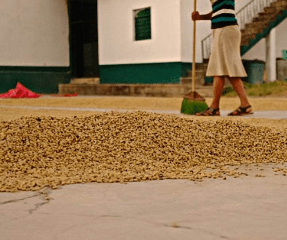 pulped natural, semi-dry, honey process coffee