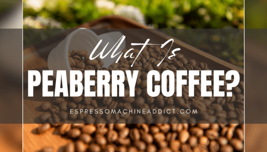 What is Peaberry Coffee?