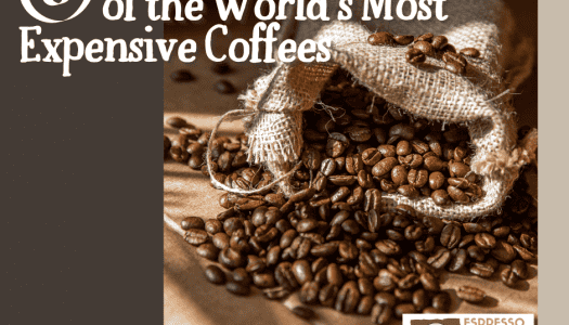 8 of the World’s Most Expensive Coffees