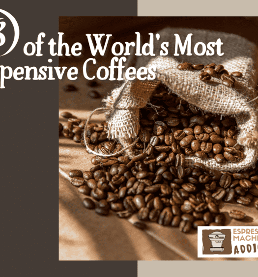 8 of the most expensive coffees in the world