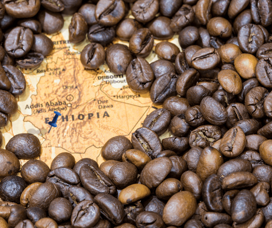 gesha beans are a rare variety of coffee bean