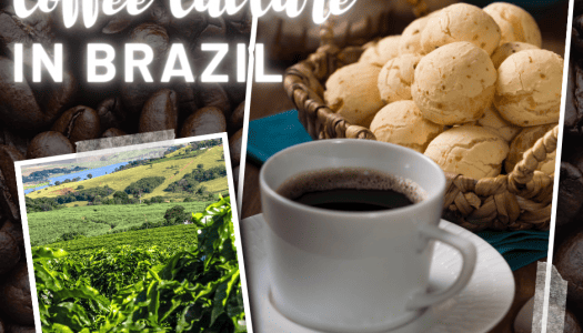 Coffee Culture in Brazil