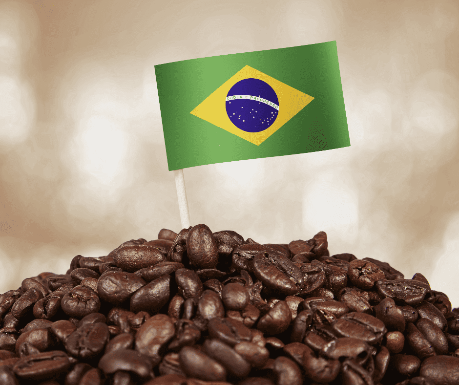 brazilian coffee beans